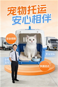 2026保定宠物托运电话宠物托运公司电话多少