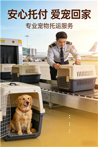 2026拉萨正规宠物托运.宠物单独托运公司电话