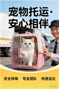 2026仪征宠物托运公司宠物猫咪托运推荐公司