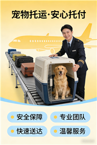 2026长治宠物托运价格/宠物托运公司咨询服务