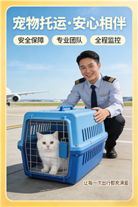 2026黄平宠物托运.宠物猫咪托运上门接送