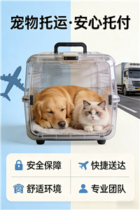 2026临沂本地宠物托运-宠物猫托运联系电话