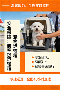 2026新蔡本地宠物托运宠物猫托运联系电话