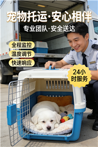 2026泸州正规宠物托运宠物活体运输费用多少