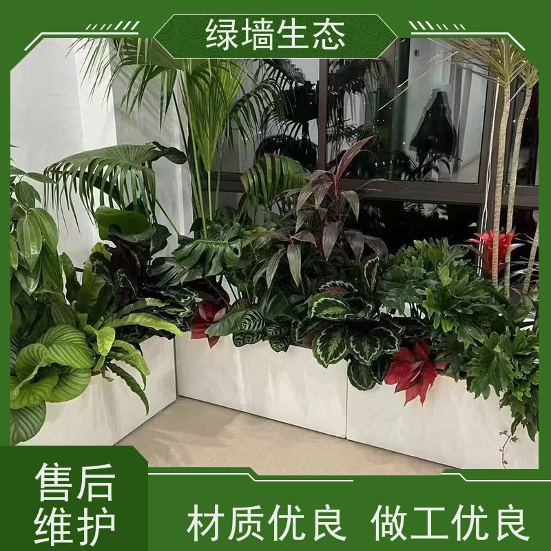 绿墙生态 飘窗小型微 迷你苔藓多肉组合摆件 水陆造景