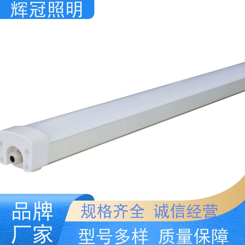 辉冠照明 工业冷库三防灯 防水防尘防腐防虫 生产厂家厂商
