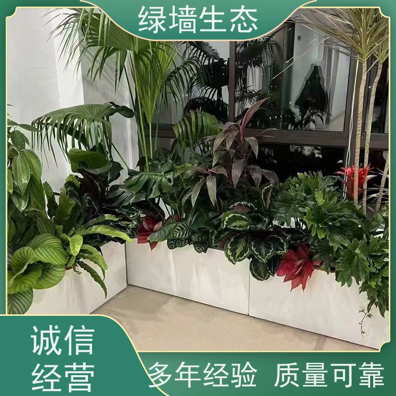 绿墙生态 花箱配套 时令草花灌木填充配置 道路景观绿化