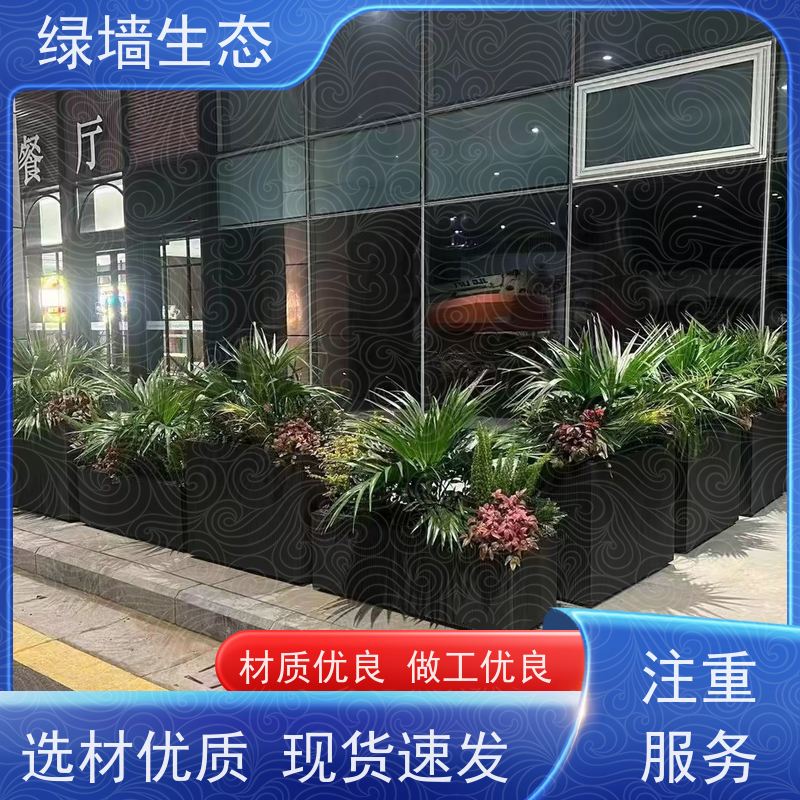 绿墙生态 飘窗小型微 迷你苔藓多肉组合摆件 室内景观造景