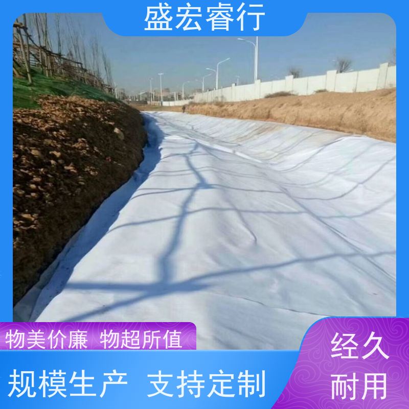 盛宏睿行 PET土工布  纺粘长丝 高强 隧道排水过滤工程布