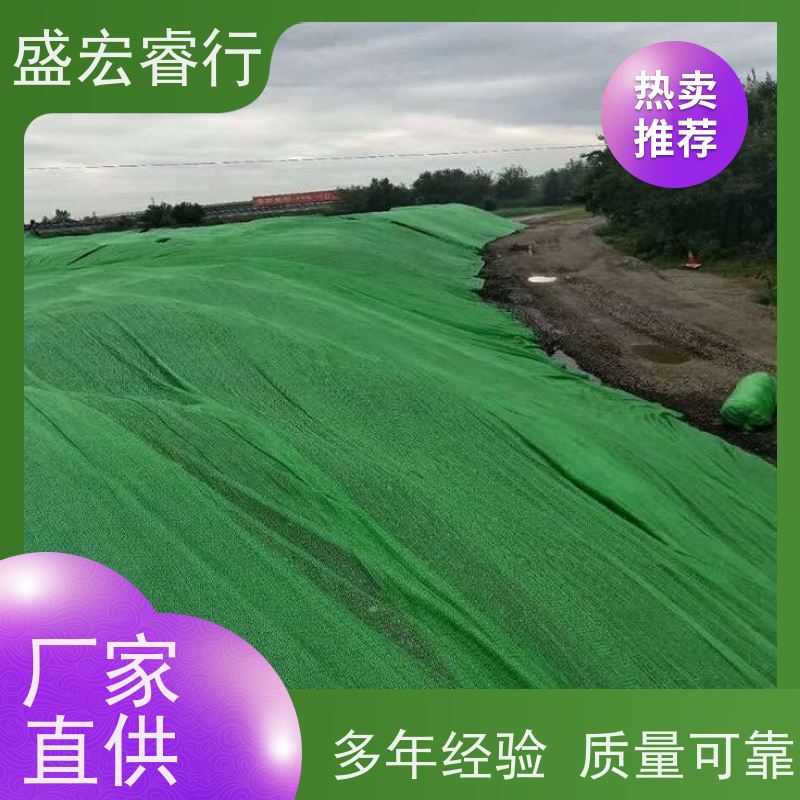 盛宏睿行 PP土工布  国标短丝针刺 水利堤坝反滤布