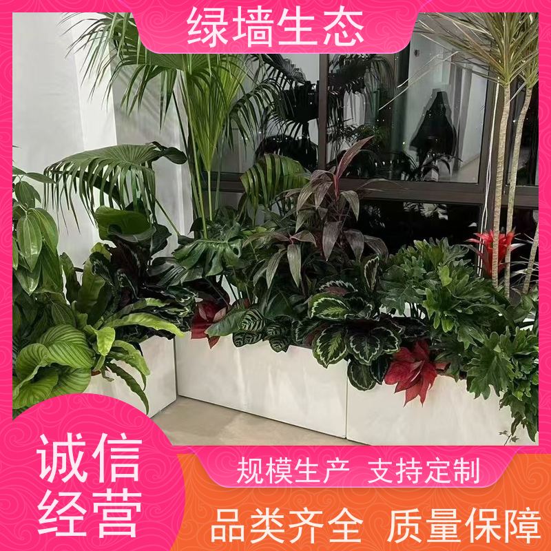 绿墙生态 围墙篱笆装饰 爬藤攀援植物覆盖架构 室内溪流景观造景