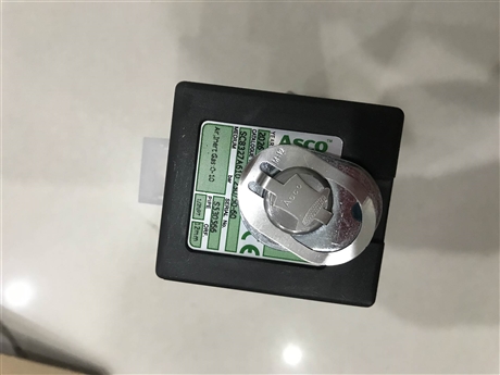 ASCO角座阀E262K208S0N00H1 