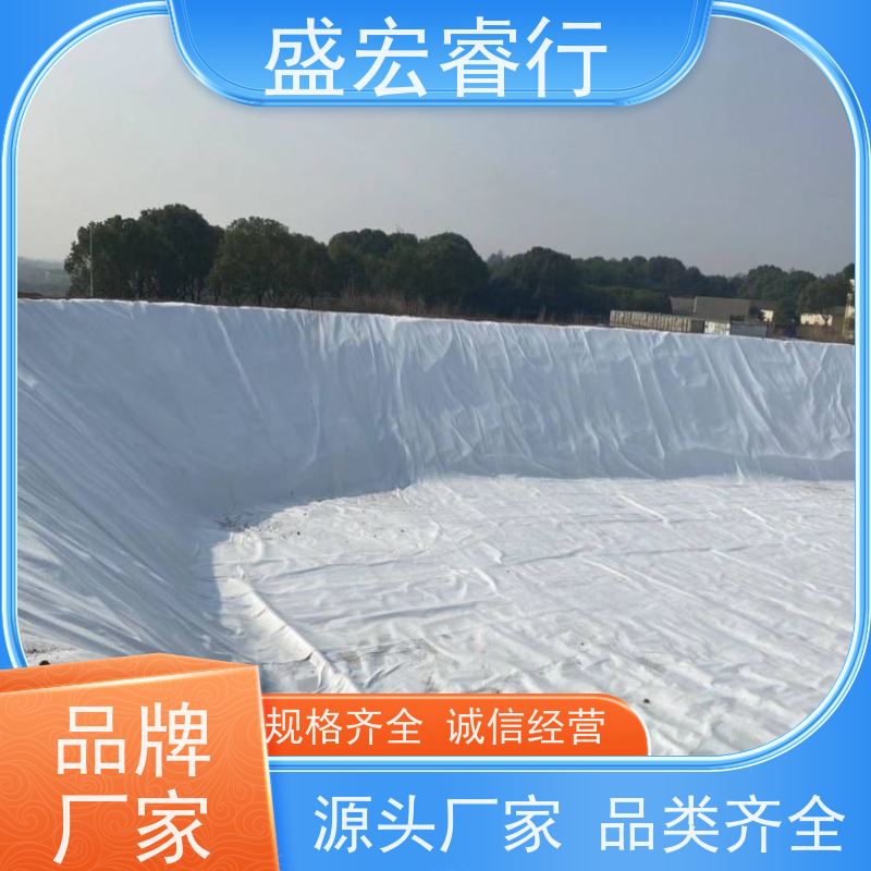 盛宏睿行 PET土工布  绿色园林绿化防尘盖土专用 保湿工程布