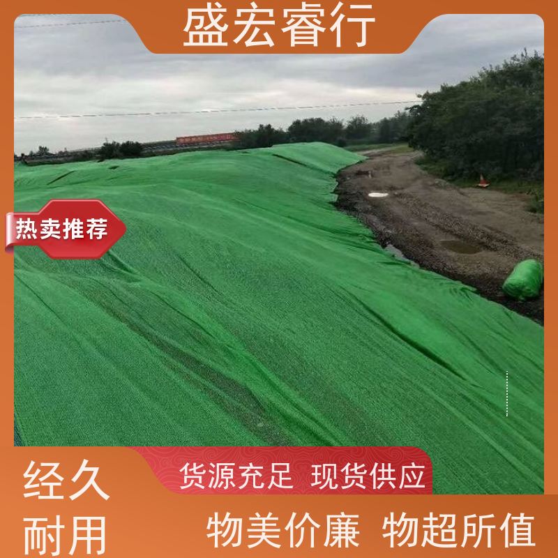 盛宏睿行 PET土工布  水利工程 堤坝护坡防渗过滤布