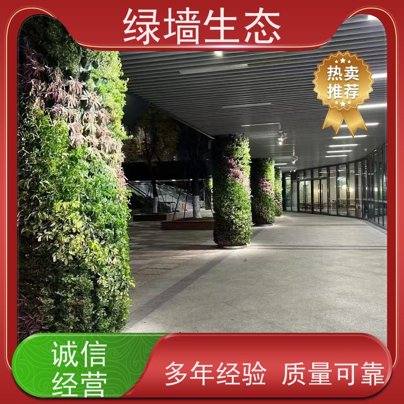 绿墙生态 植物墙 走廊玄关小型入户隔断微景观装饰墙