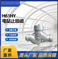 高温高压焊接升降止回阀 电站给水/蒸汽系统专用 对焊硬密封阀门