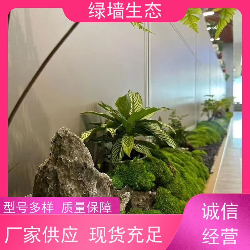 绿墙生态 围墙篱笆装饰 爬藤攀援植物覆盖架构 雨林缸造景