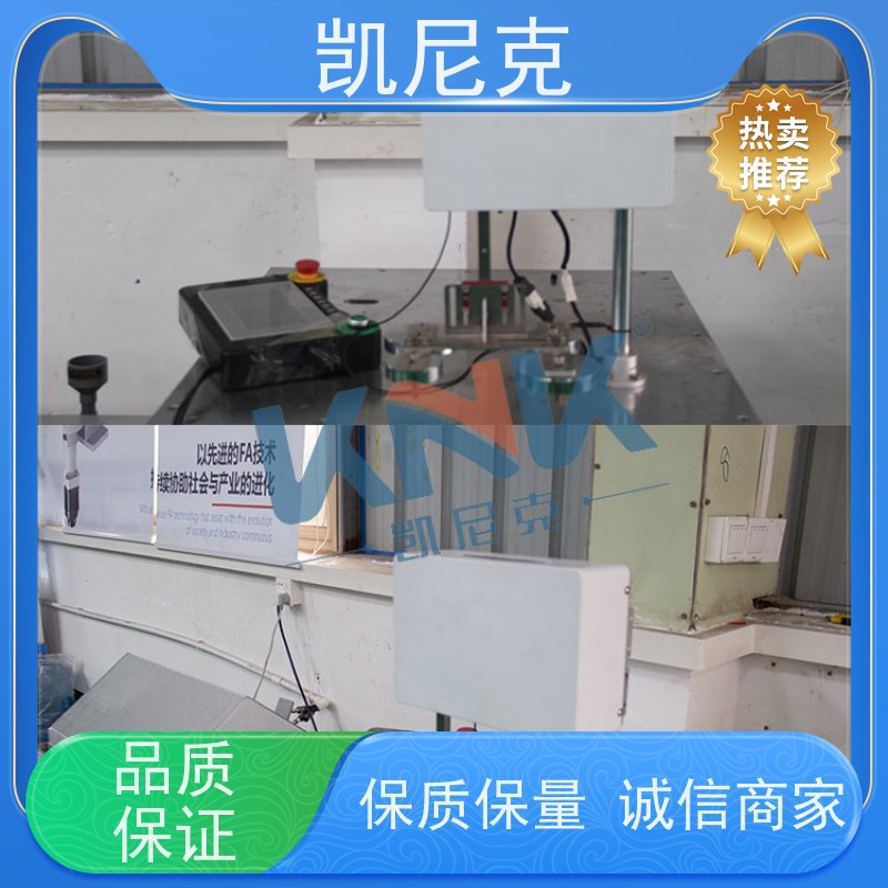 精密性强  稳定运行 点胶设备 PPU机械手 源头厂家 提供按需定制