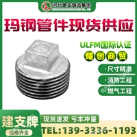 玛钢管件 现货 国标热镀锌无边管堵 可锻铸铁燃气管件 消防管件 喷淋管道配件