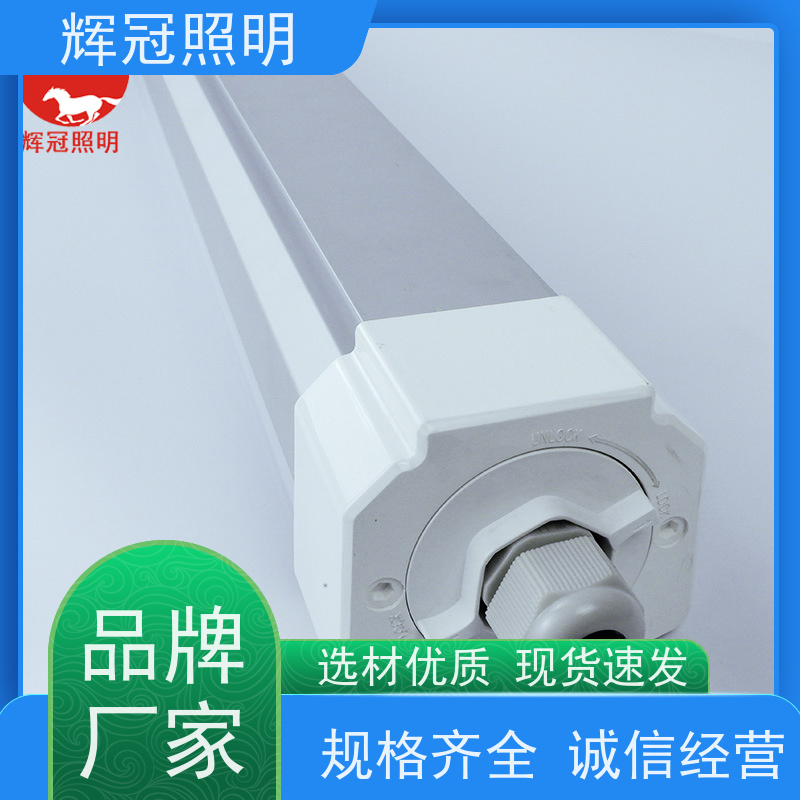 辉冠照明 冷库长条三防灯 物美价优品质保证 生产厂家厂商