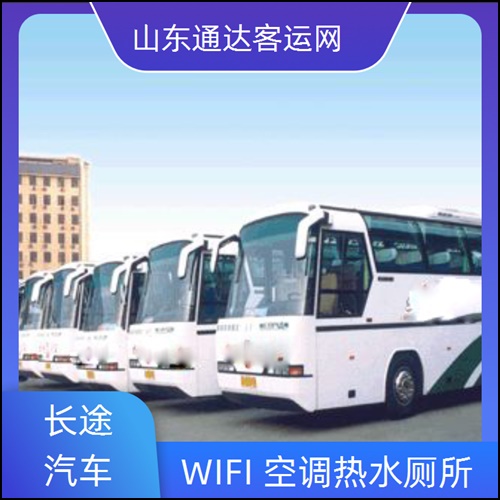 2026升级:寿光到深圳豪华大巴+客车宠物托运