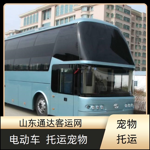 2026指南:胶州到东莞直达汽车+客车宠物托运