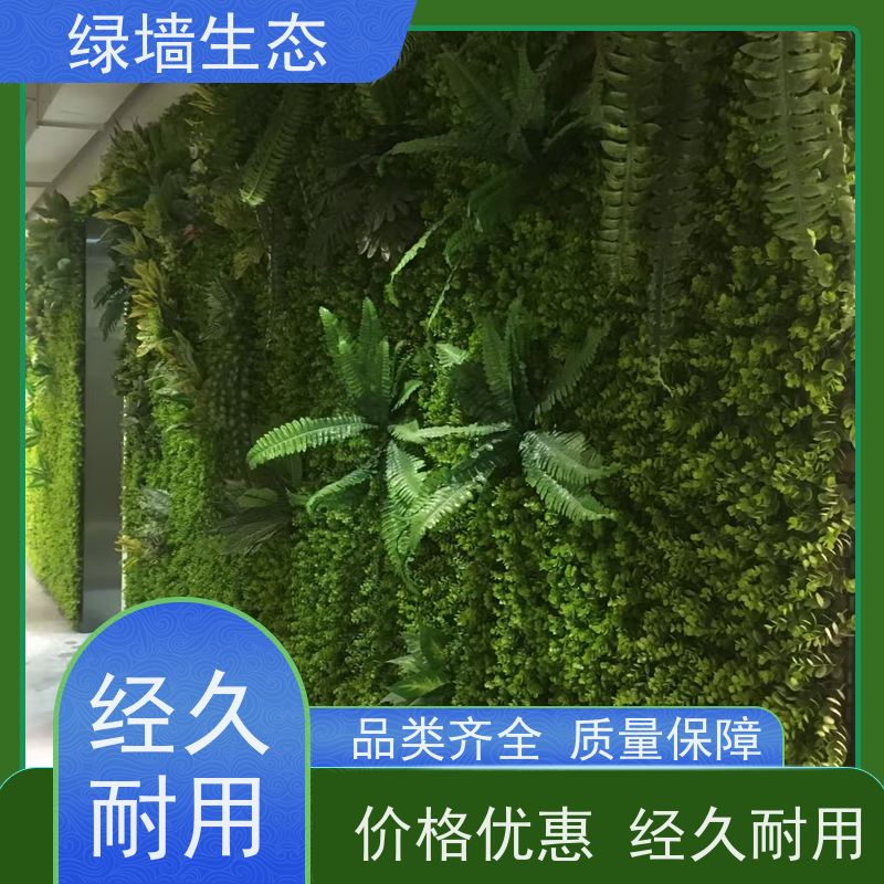 绿墙生态 地瓜叶款式室内吊顶静态装饰立体拼装墙 仿真绿化工程