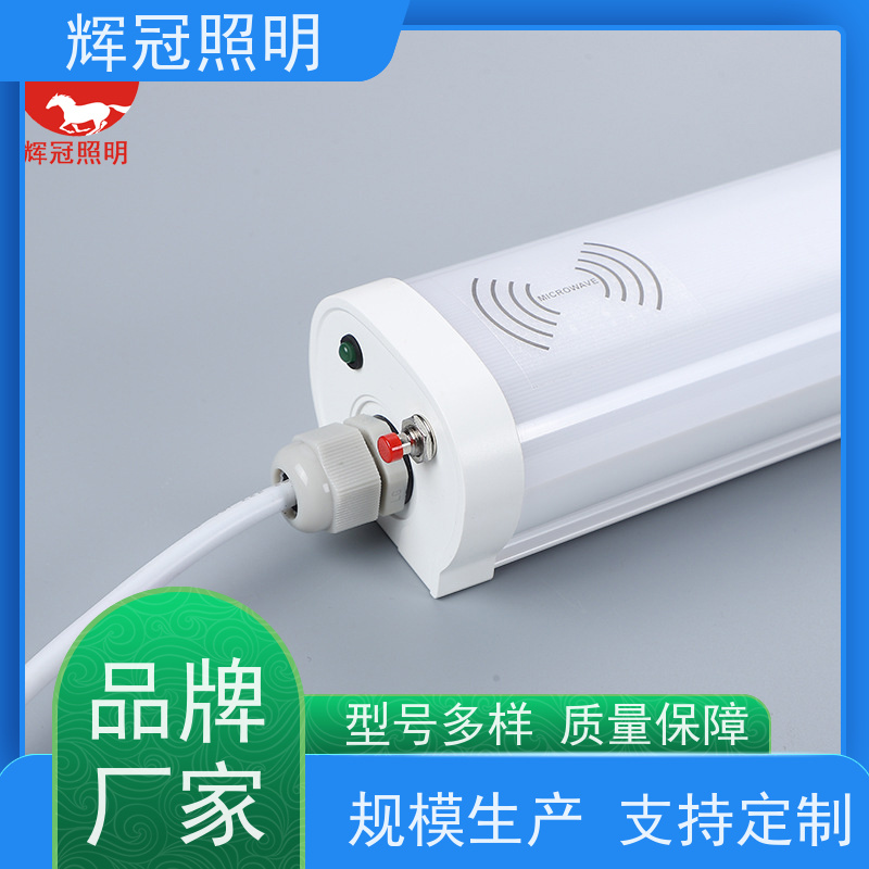 辉冠照明 飞机场火车站廊桥冷库 三防灯吸顶灯 防水防尘防腐防虫