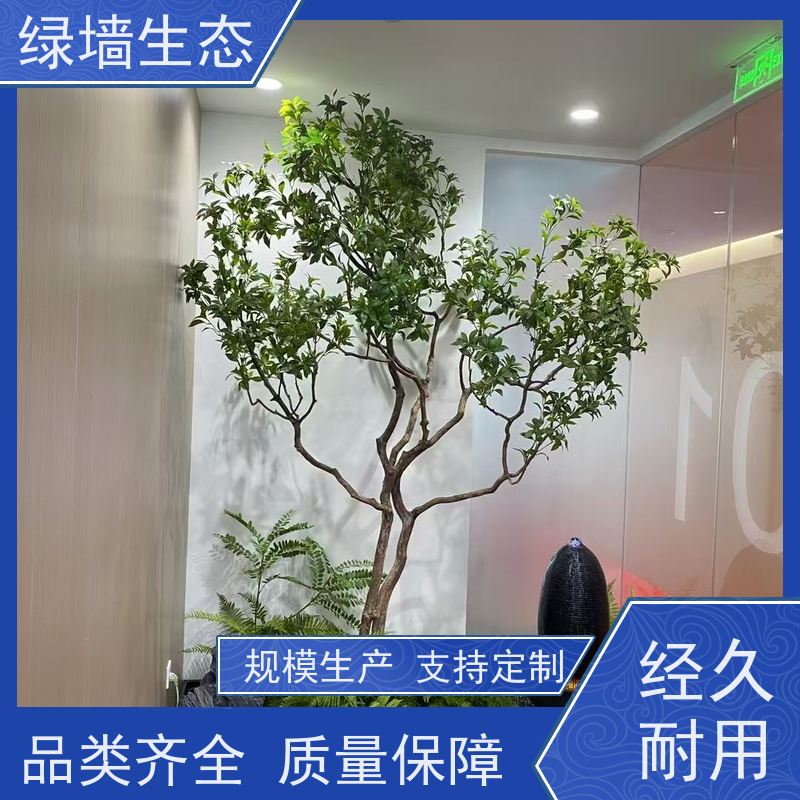 绿墙生态 飘窗小型微 迷你苔藓多肉组合摆件 小区景观绿化
