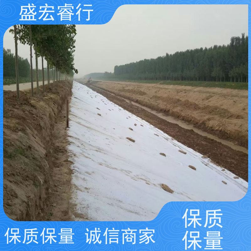 盛宏睿行 FNG土工布  环保 道路养护桥梁保湿无纺布