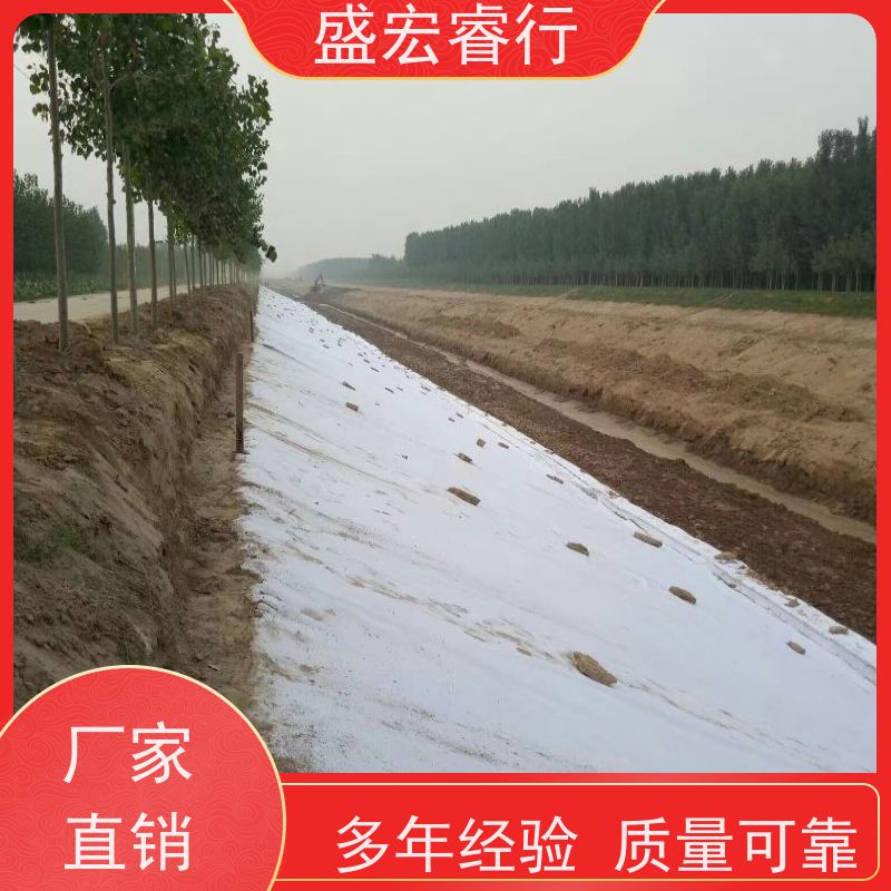 盛宏睿行 PET土工布  水利堤坝 河道护坡防渗布 定制