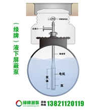 屏蔽液下泵 不锈钢防爆化工潜液泵 可燃液体化工泵