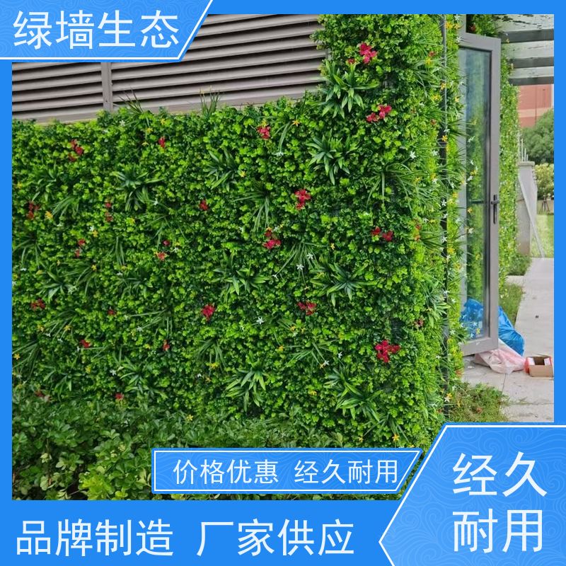 绿墙生态 罗汉草密编阳台露台隔离防护装饰墙面 仿真绿化工程
