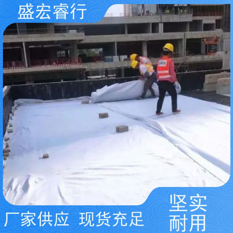 盛宏睿行 PET土工布  垃圾填埋场 防渗过滤加固 透水无纺布