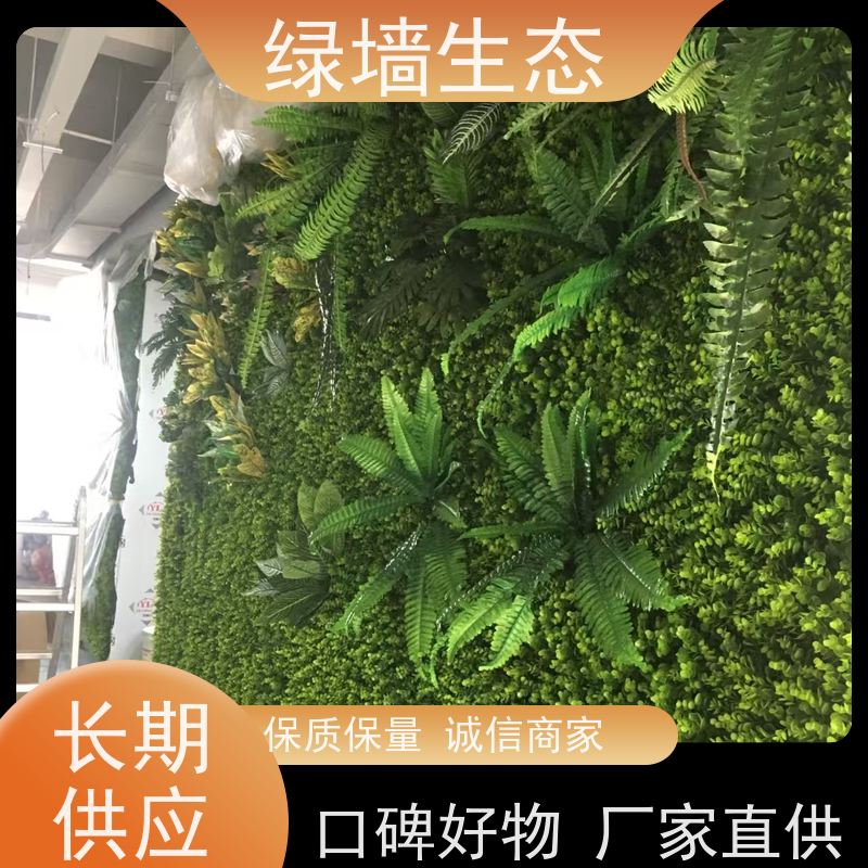 绿墙生态 龟背叶大款会所墙面造景立体装饰模块 仿真绿化工程