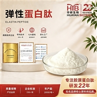 华研生物弹性蛋白肽 小分子易吸收 美容保健食品原料粉