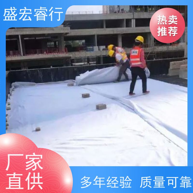 盛宏睿行 PET土工布  多用途 透水保湿防尘护坡一体