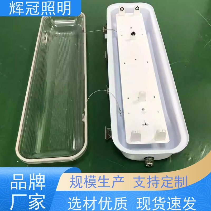 飞机场火车站廊桥冷库 三防支架灯罩 防水防尘防腐防虫 生产厂家厂商