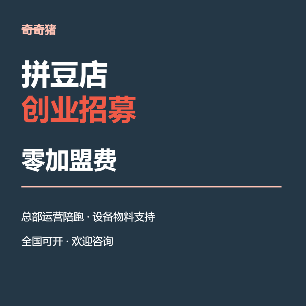 萍乡拼豆店加盟-推荐奇奇猪拼豆