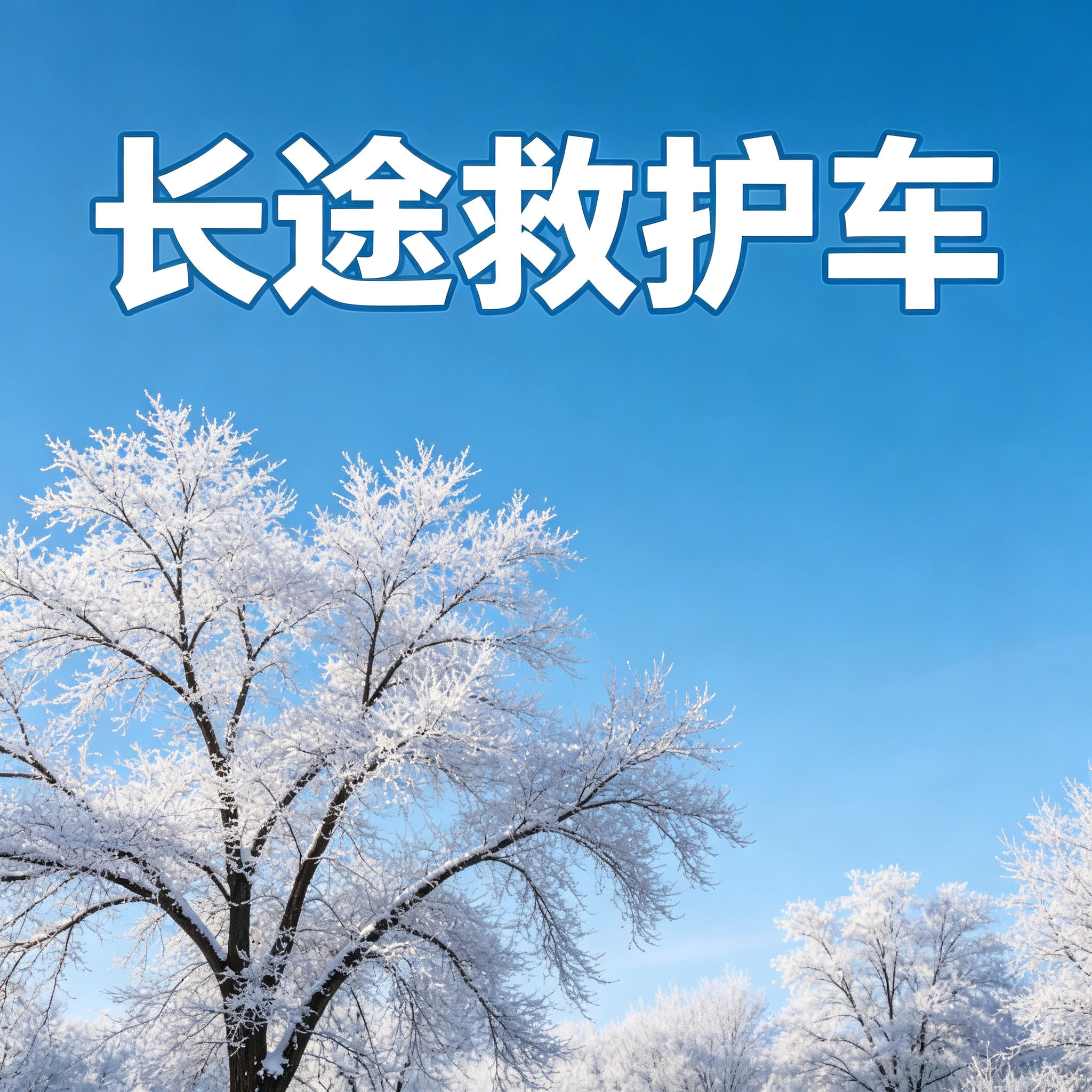 中卫靠谱长途跨省护送服务,收费清晰无隐藏