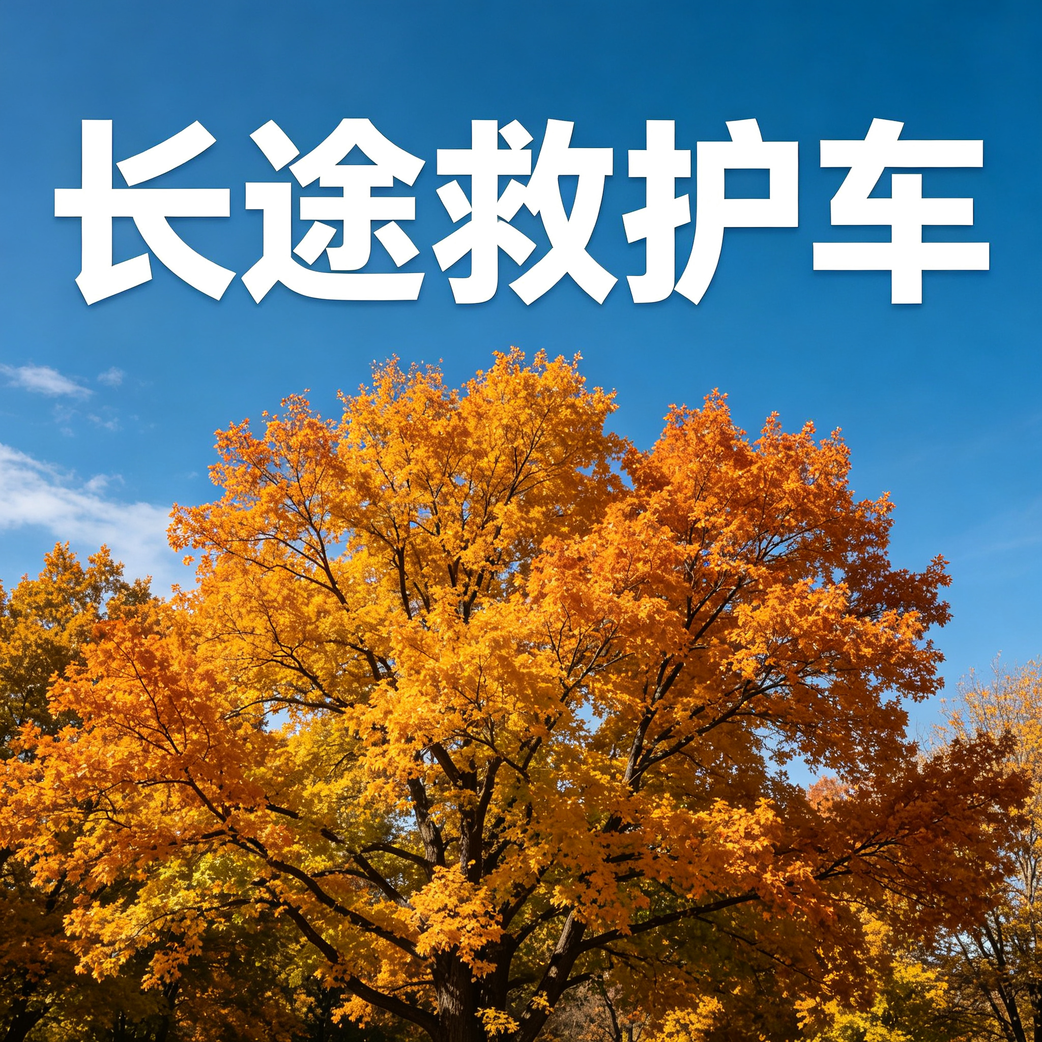 兴安盟靠谱长途跨省护送车辆,收费清晰无隐藏