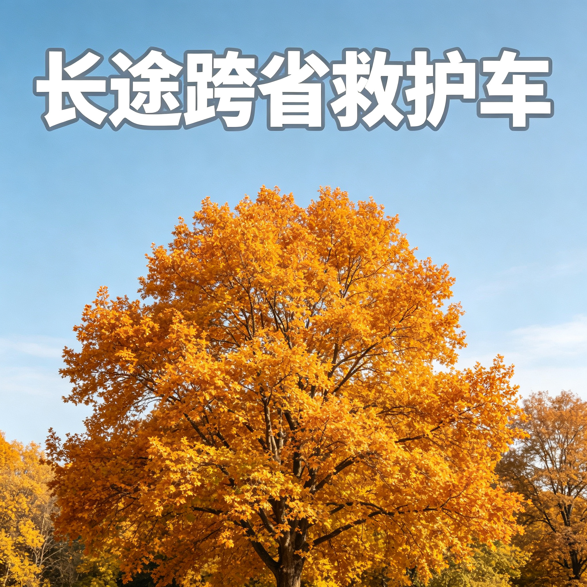 海口长途跨省救护车 夜间长途随时响应 护送需求全满足