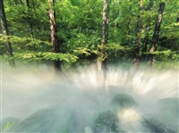 雾森景观 喷雾除尘 厂区降温 配套管道 一站式景之道