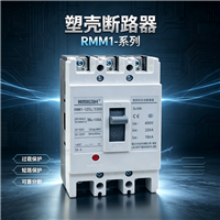 塑壳断路器MCCB上海人民RMM1-125L/3300 100A断路器