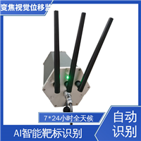 实时在线监测 桥梁挠度检测 变焦视频位移计无源靶标