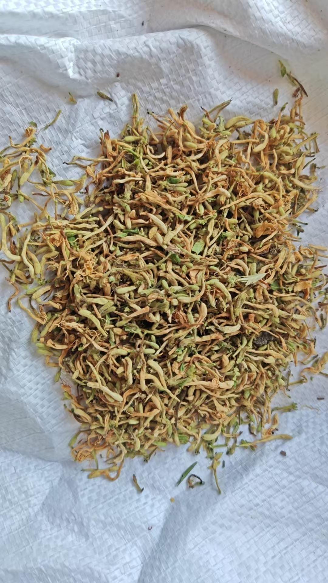 青岛金银花干花多少钱一斤2026市场行情