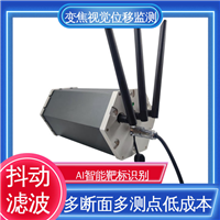 实时在线监测 危房结构安全 视觉挠度测量仪 二维位移