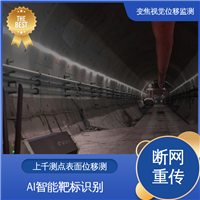 实时在线监测 视觉挠度测量仪 双轴位移 建筑物沉降倾斜