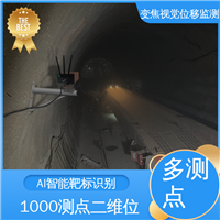 自动化监测 尾矿库位移坍塌事故 机器视觉测量仪