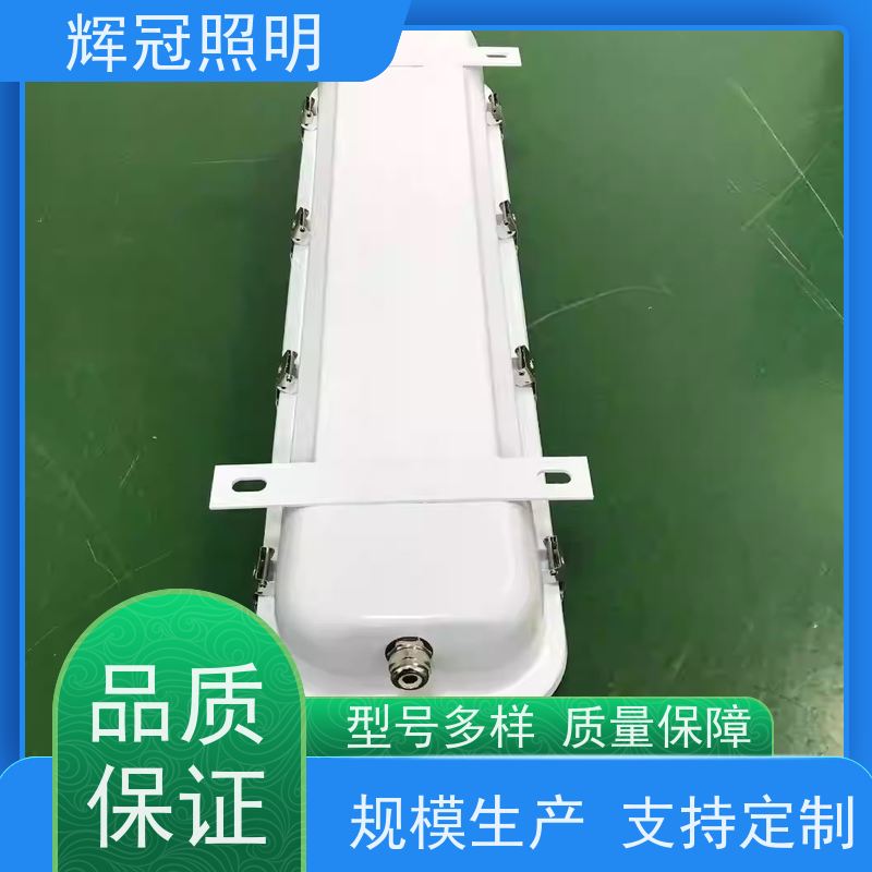 辉冠照明 飞机场火车站廊桥冷库 三防荧光灯bys-40 规格齐全大量库存